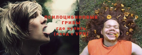 a pvp Заводоуковск